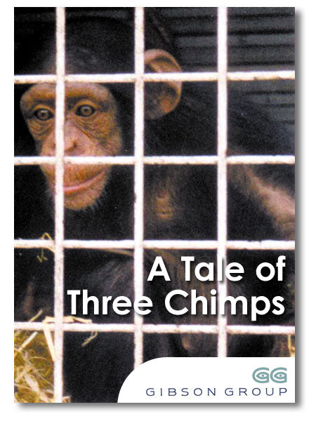 A Tale of Three Chimps